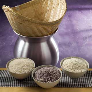 Jasmine Rice (<EM>Txhuv Txua</EM>), Purple Rice (<EM>Txhuv Ntsav</EM>),<BR />and Sticky Rice (<EM>Txhuv Nplaum</EM>)