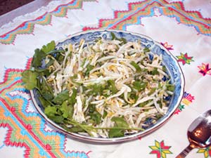 Chicken and Bean Sprout Salad